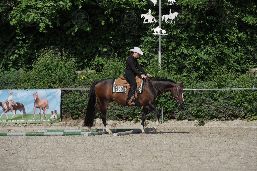 s_APF06597.jpg